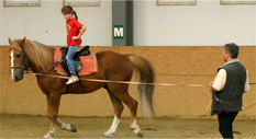 Programs with the horses